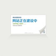 做好網(wǎng)站優(yōu)化的意義